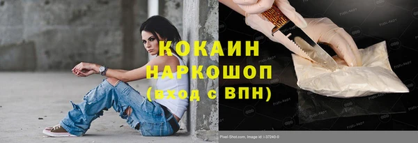 сатива Верея