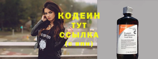 сатива Верея