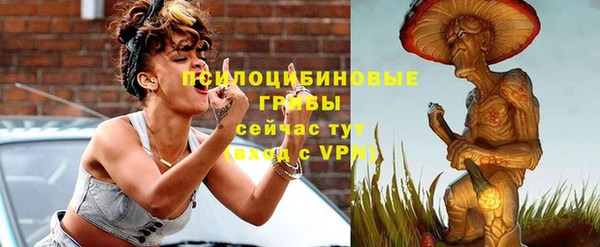 сатива Верея