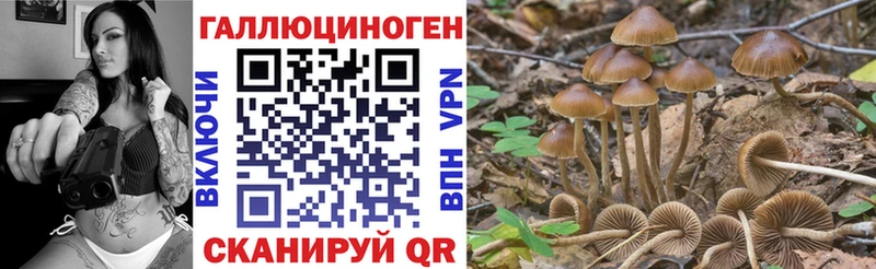 Галлюциногенные грибы мухоморы  Бийск 