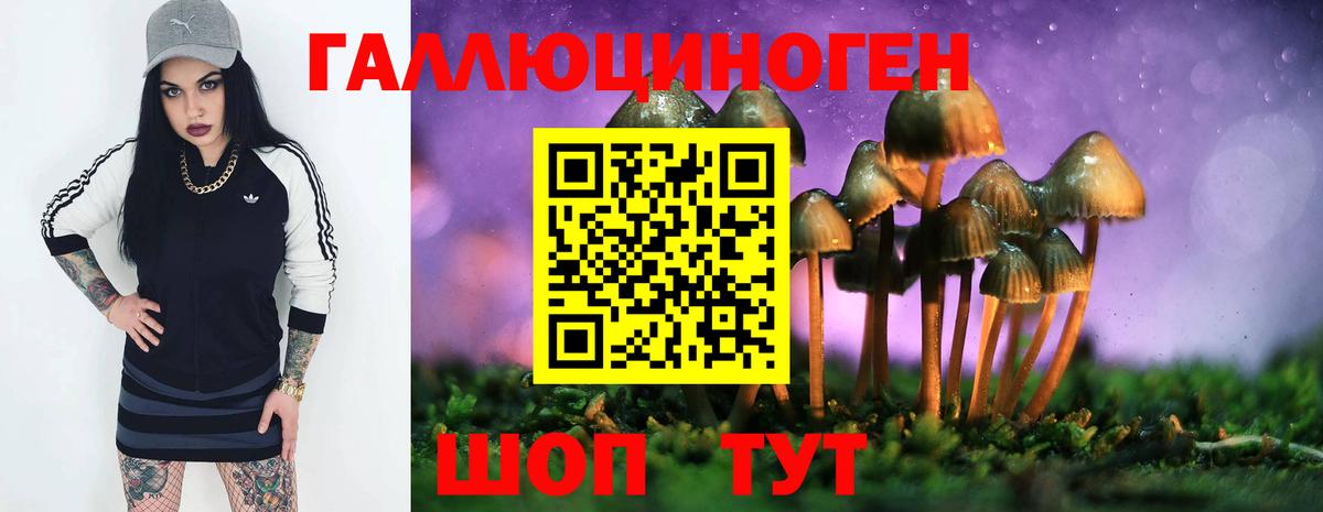Бийск  Псилоцибиновые грибы мицелий  Вход с VPN  Галлюциногенные грибы MAGIC MUSHROOMS 